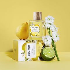 Parfumovaná voda COLABO Citrus, 100 ml